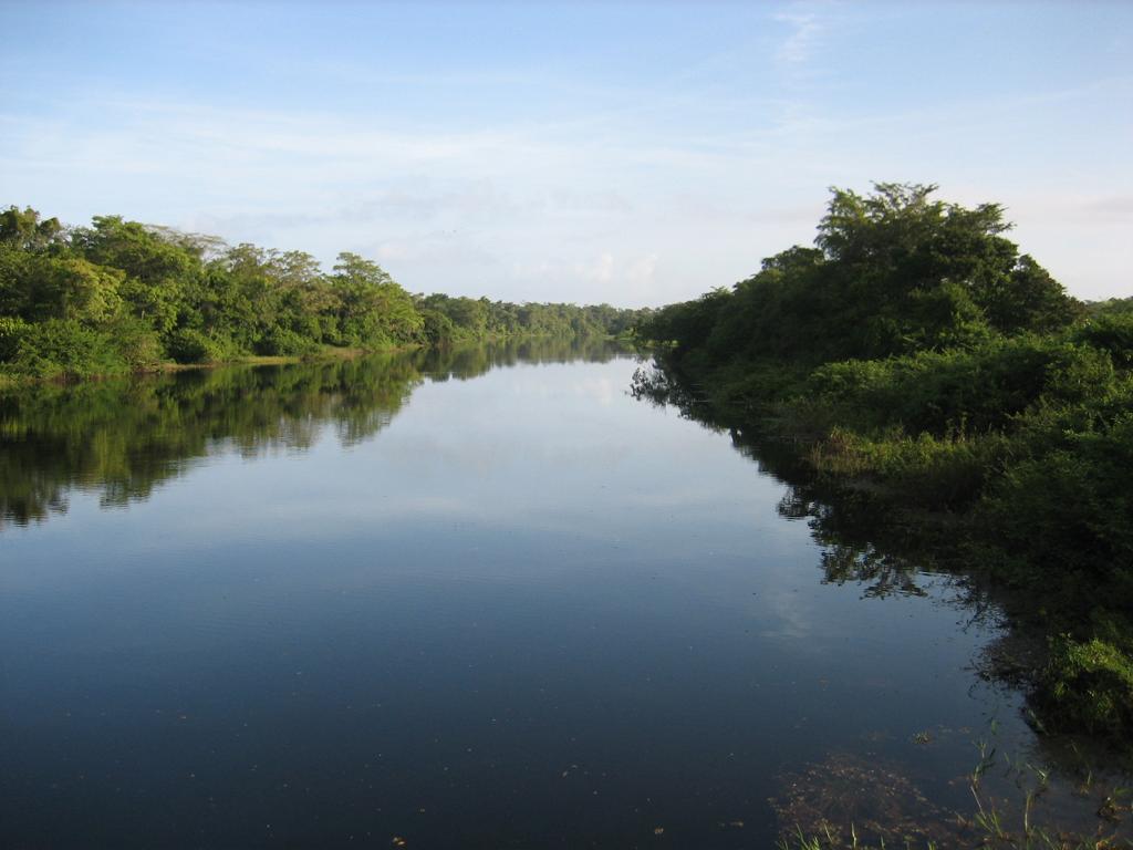 listing image with ID 98287