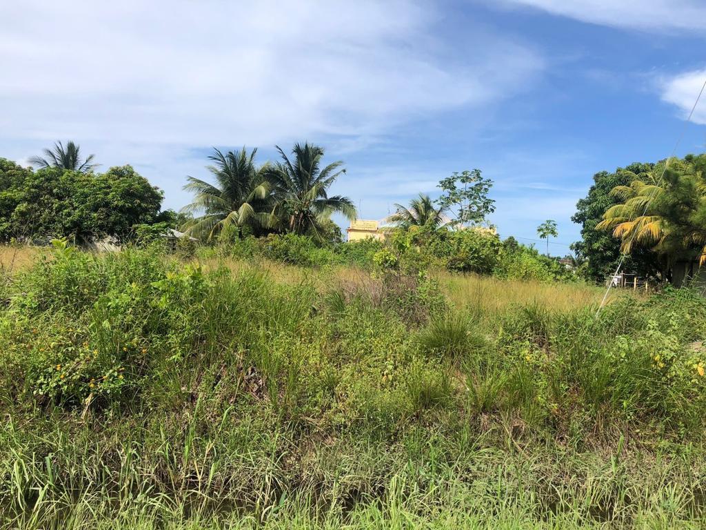 listing image with ID 103197