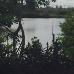 listing image thumbnail with ID 94427