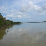 listing image thumbnail with ID 99609