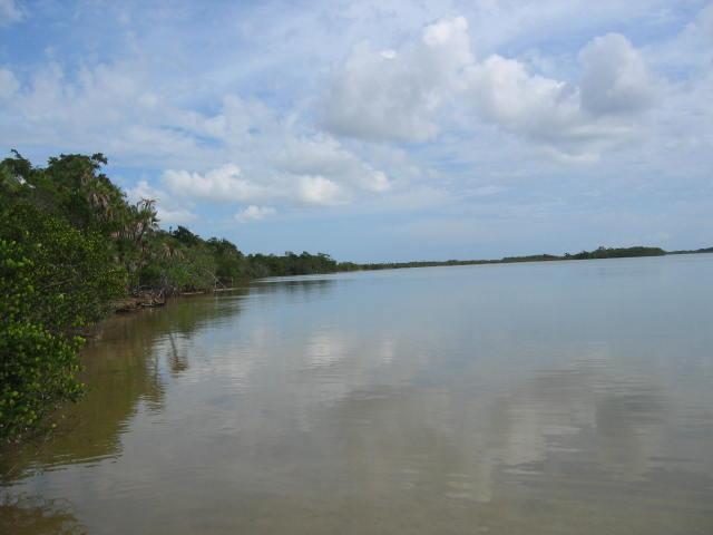 listing image with ID 99609
