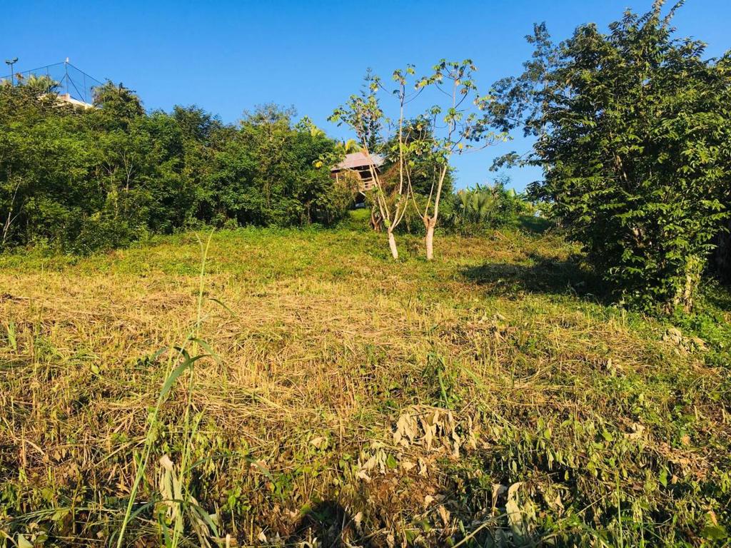 listing image with ID 101843