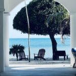listing image thumbnail with ID 95239
