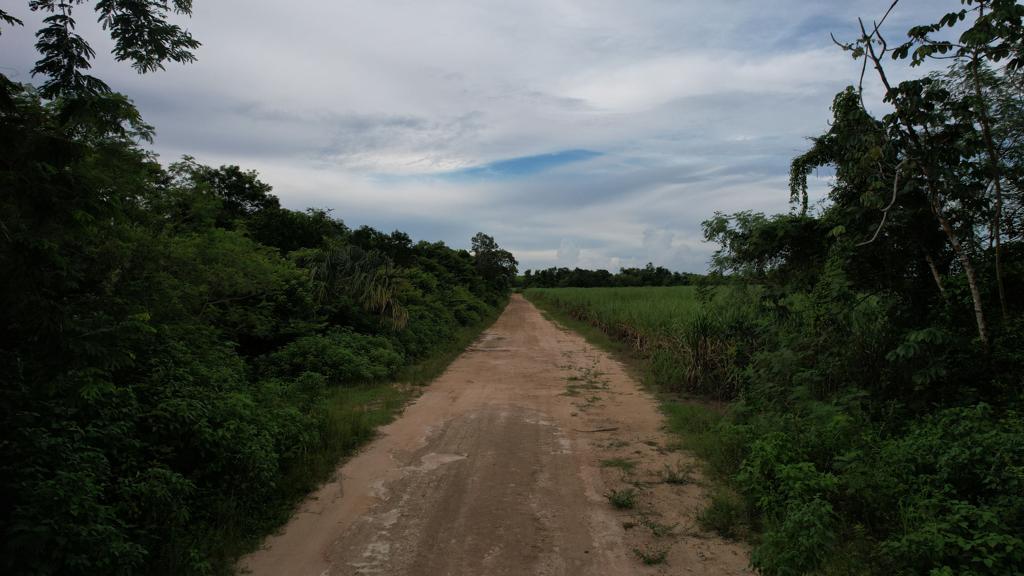 listing image with ID 107207