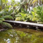 listing image thumbnail with ID 103277