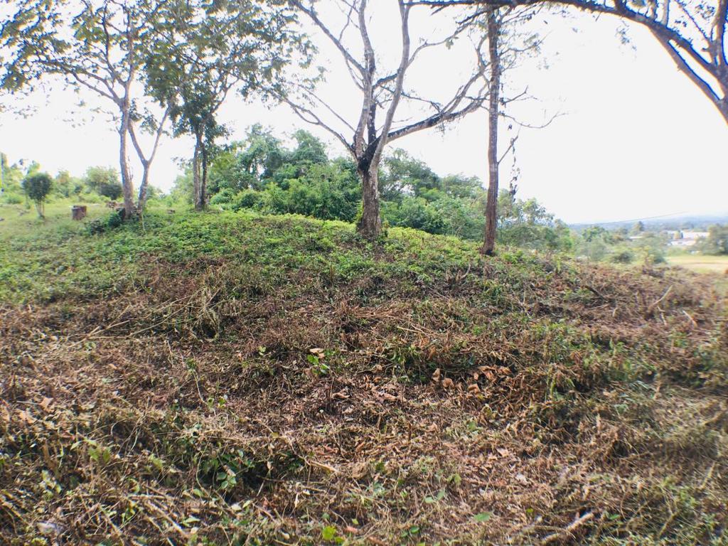 listing image with ID 79588