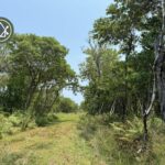 listing image thumbnail with ID 101832