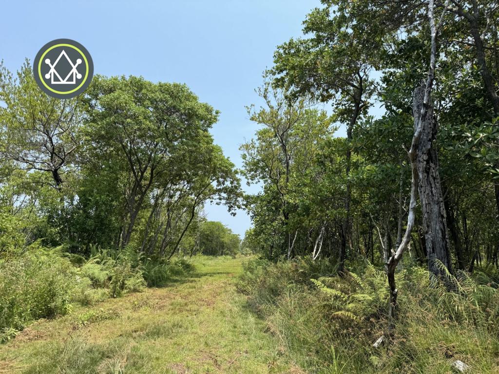 listing image with ID 101832