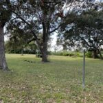 listing image thumbnail with ID 81761