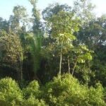 listing image thumbnail with ID 85064