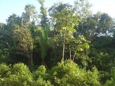 listing image with ID 85064