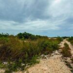 listing image thumbnail with ID 91339