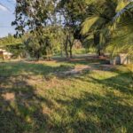 listing image thumbnail with ID 83327