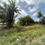 listing image thumbnail with ID 80367