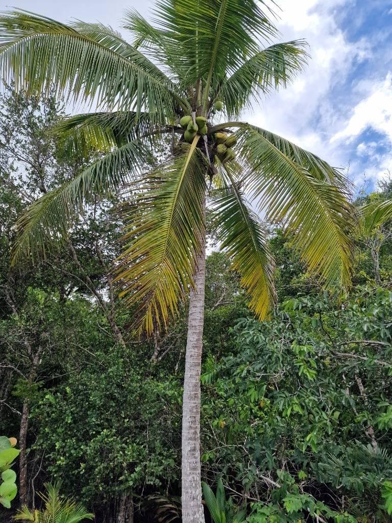 listing image with ID 76083