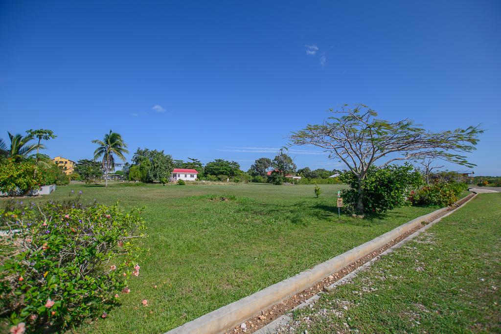 listing image with ID 102816