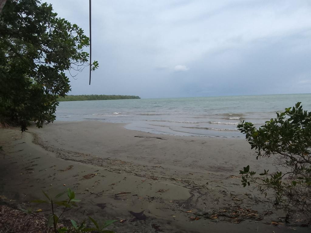listing image with ID 100250