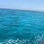 listing image thumbnail with ID 76435