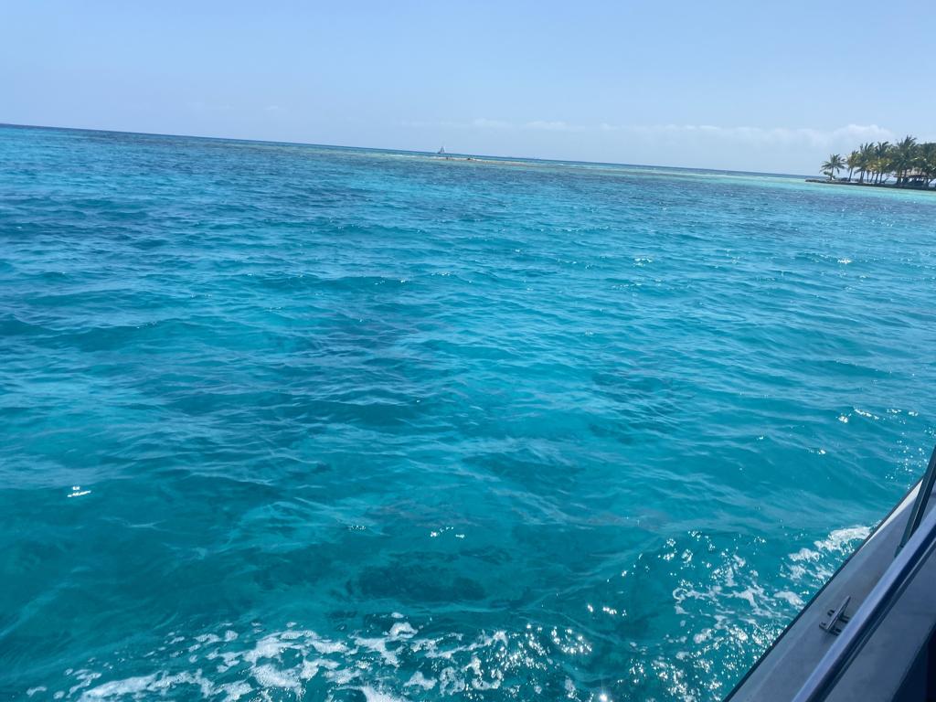listing image with ID 76435