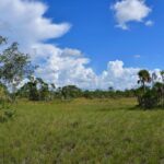 listing image thumbnail with ID 108597