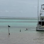 listing image thumbnail with ID 79090