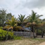 listing image thumbnail with ID 99034