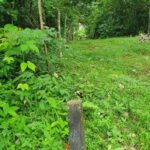 listing image thumbnail with ID 96615