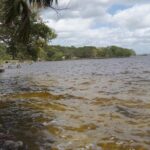 listing image thumbnail with ID 100806