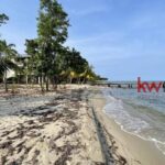 listing image thumbnail with ID 96562