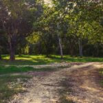 listing image thumbnail with ID 107735