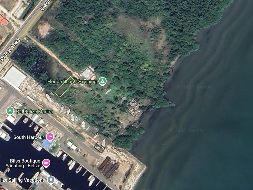 listing image with ID 101124