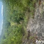 listing image thumbnail with ID 85992