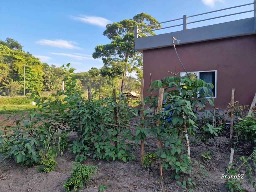 listing image with ID 87301