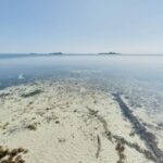 listing image thumbnail with ID 96679