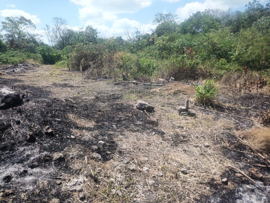 listing image with ID 109206