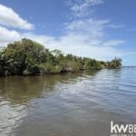 listing image thumbnail with ID 91407