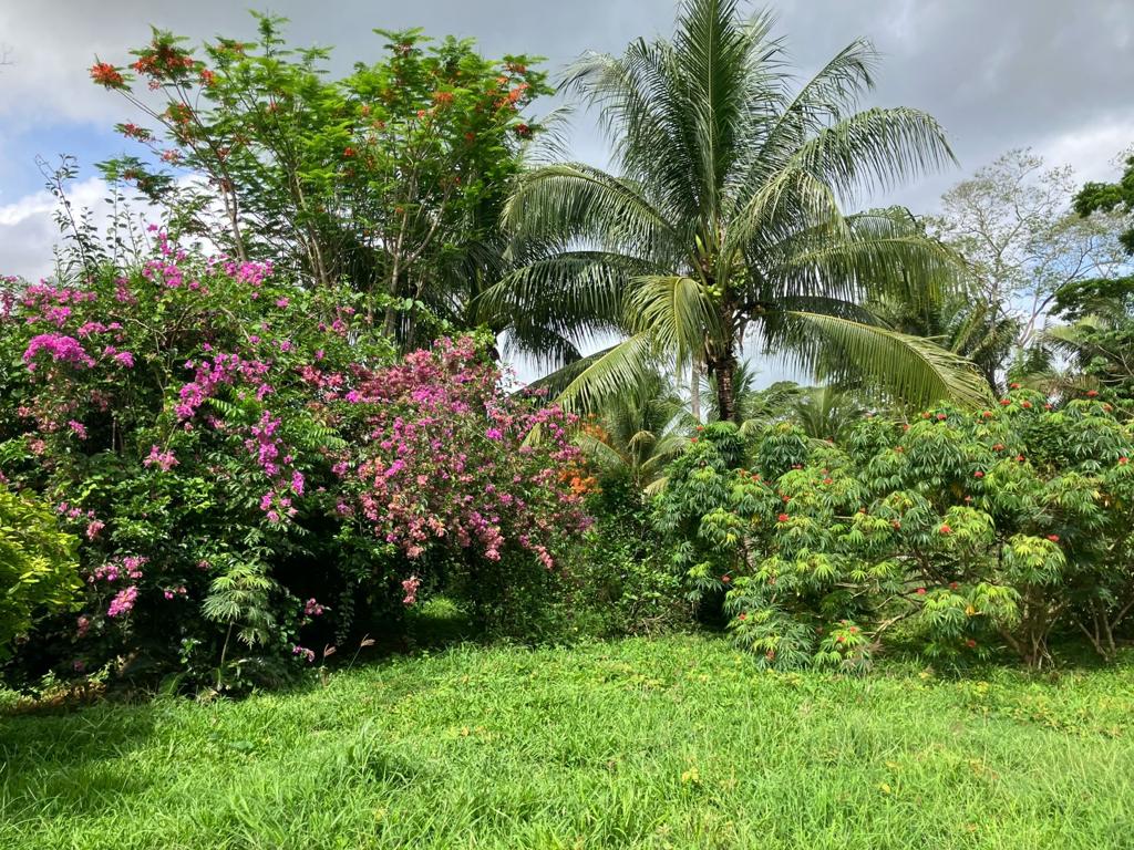 listing image with ID 91975