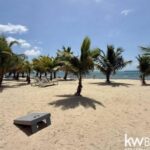 listing image thumbnail with ID 92785