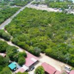 listing image thumbnail with ID 90880