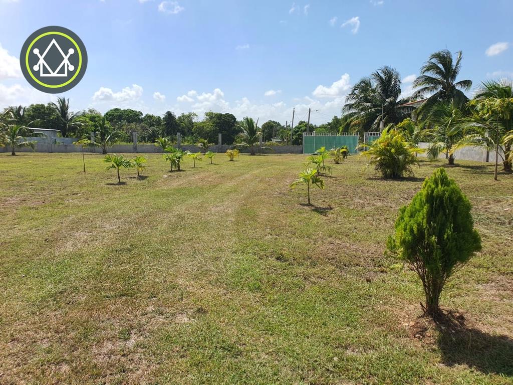 listing image with ID 81133