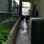 listing image thumbnail with ID 106299