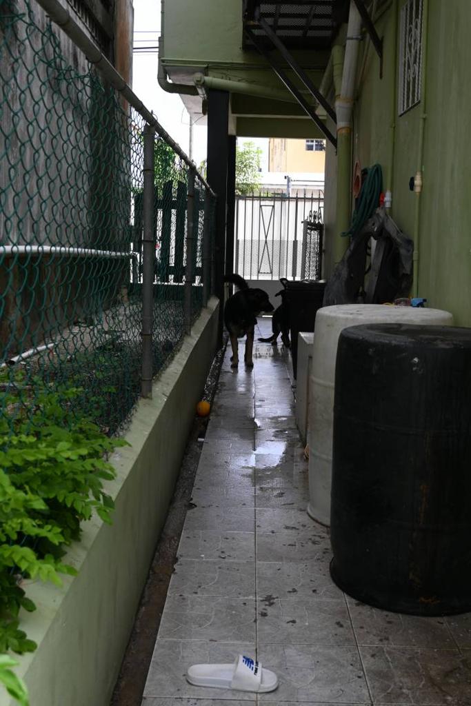 listing image with ID 106299