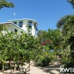 listing image thumbnail with ID 77709