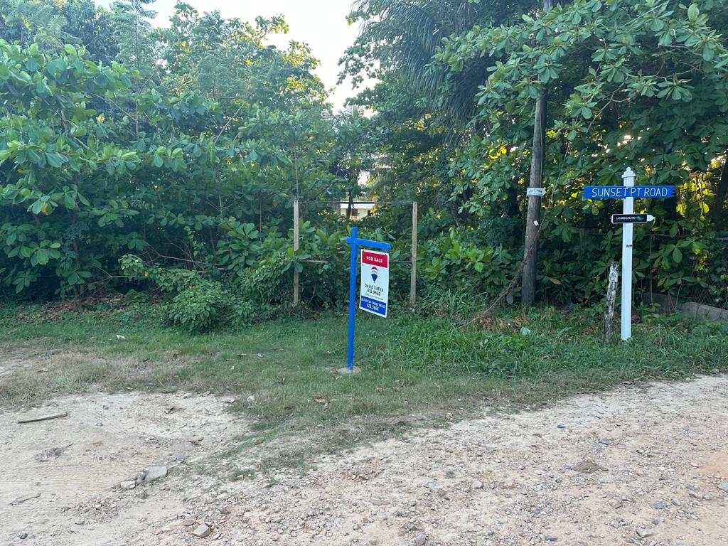 listing image with ID 107203
