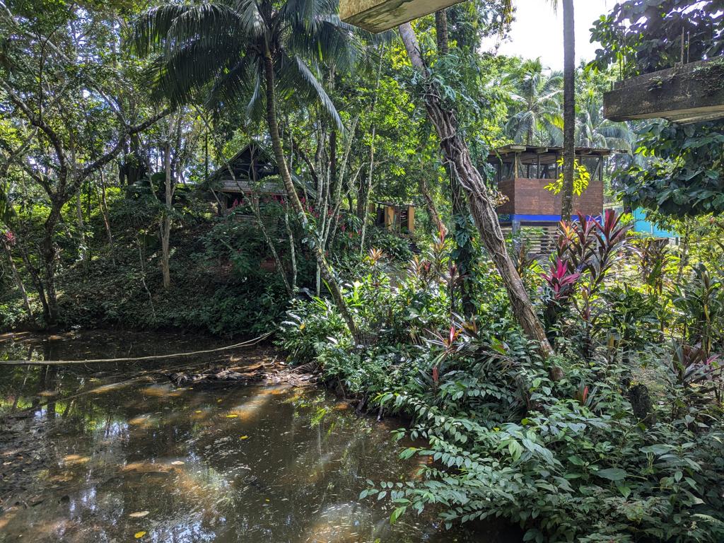 listing image with ID 98003