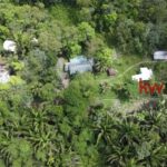 listing image thumbnail with ID 91060