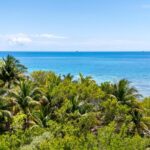 listing image thumbnail with ID 94323