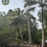listing image thumbnail with ID 101612