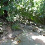 listing image thumbnail with ID 86745