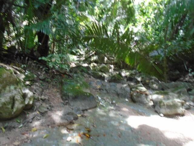 listing image with ID 86745